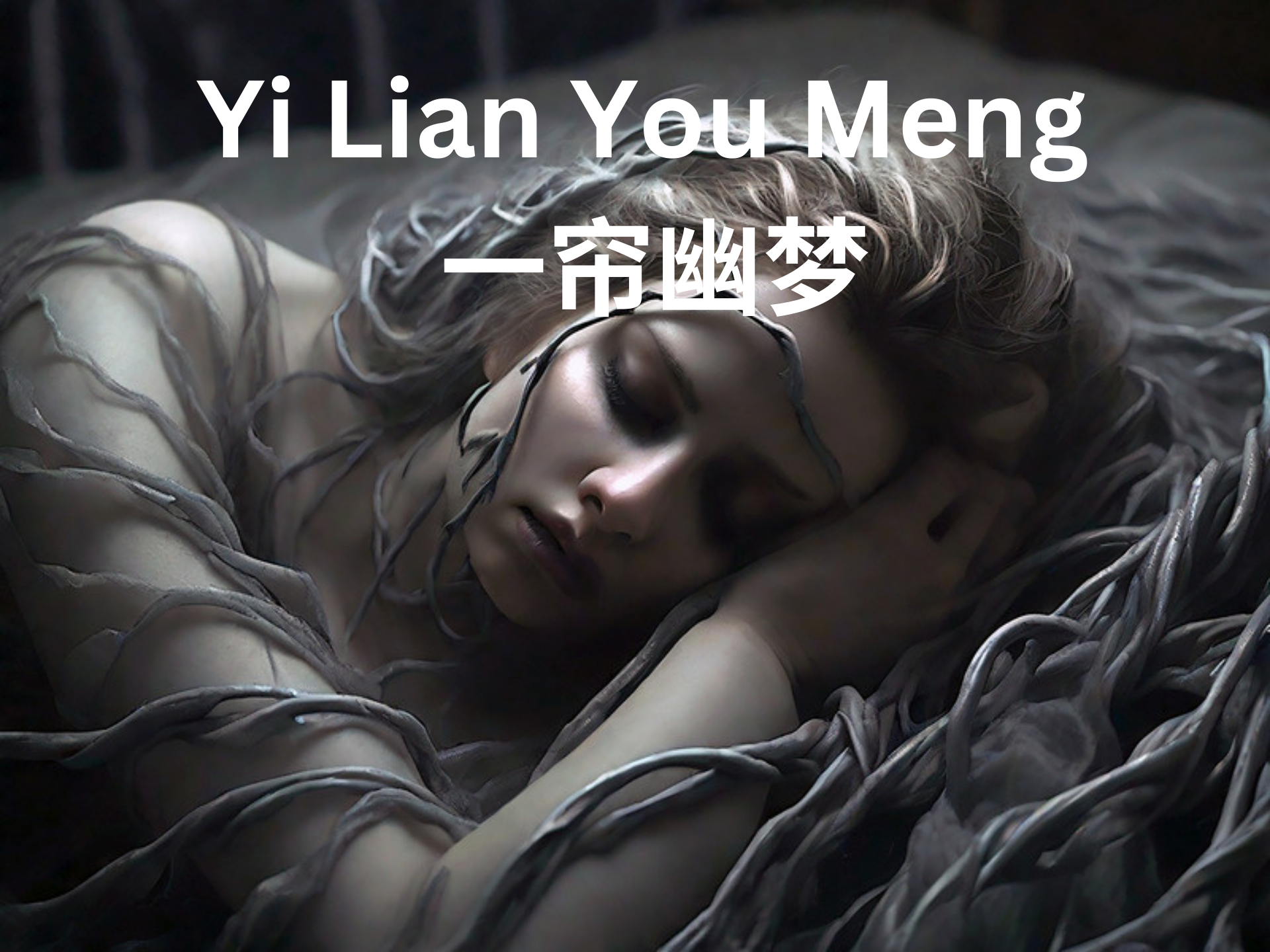 Yi Lian You Meng 一帘幽梦
