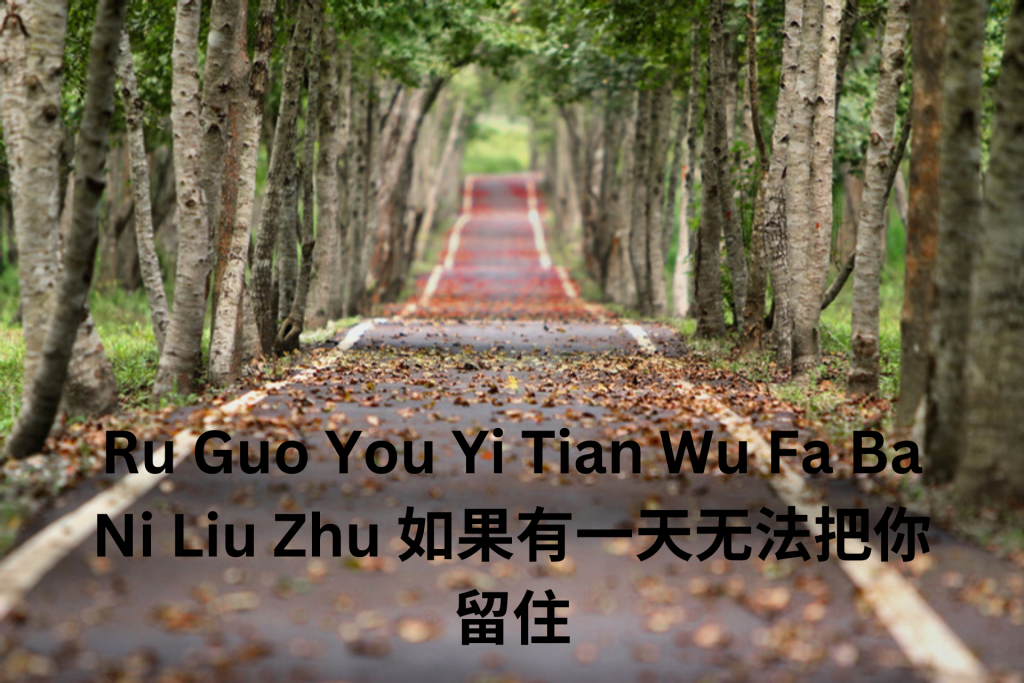 Ru Guo You Yi Tian Wu Fa Ba Ni Liu Zhu 如果有一天无法把你留住