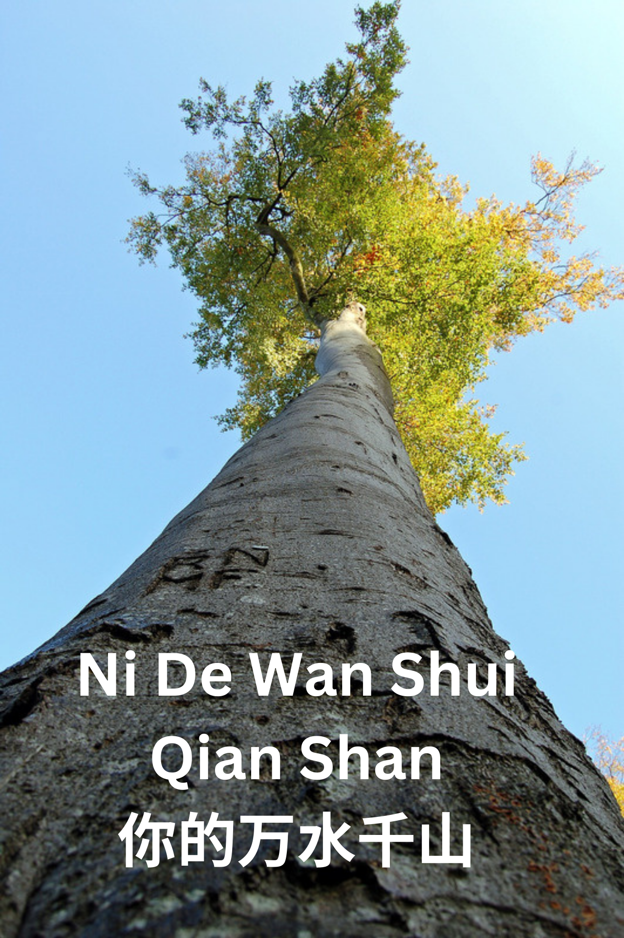 Ni De Wan Shui Qian Shan - 你的万水千山