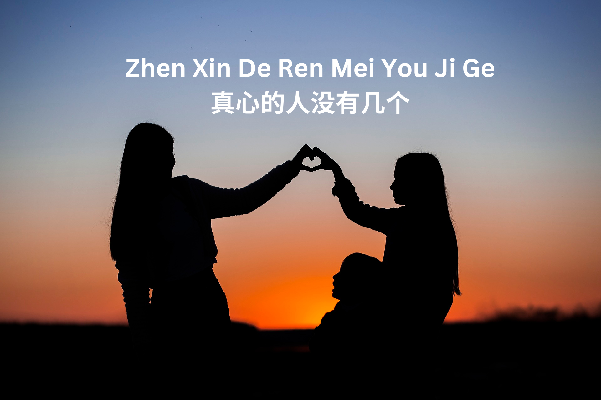 Zhen Xin De Ren Mei You Ji Ge真心的人没有几个