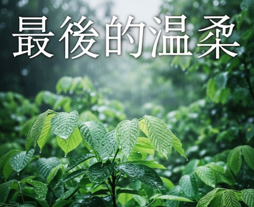 最後的溫柔