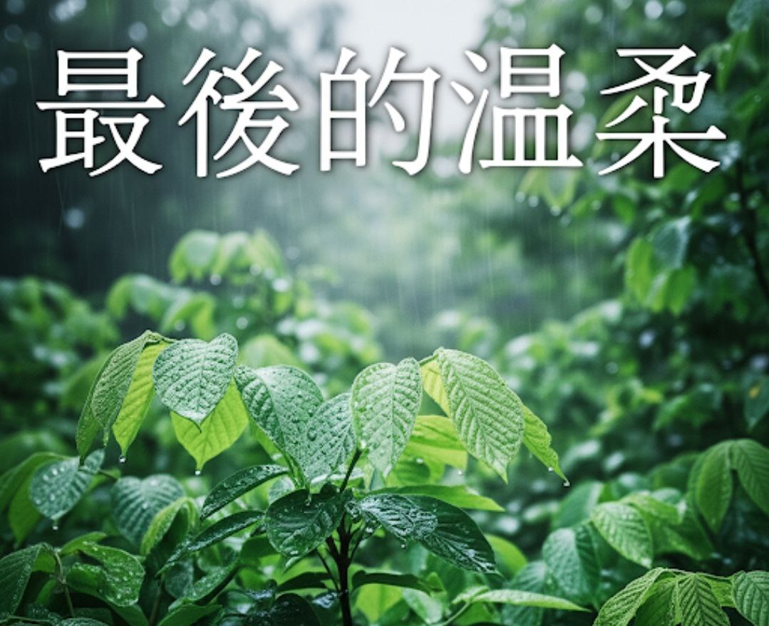 最後的溫柔 Zuì Hòu De Wēn Róu